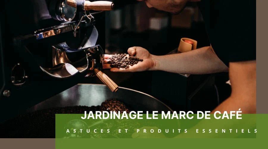 Gardening Coffee Grounds | Tips and Essential Products