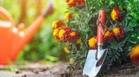Outils De Jardinage | Astuces pour un Jardinage Efficace - Outils De Jardinage®