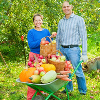 Chariots De Jardinage outils de jardinage