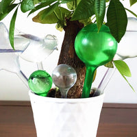 Ballons d'arrosage automatique Outils de jardinage 