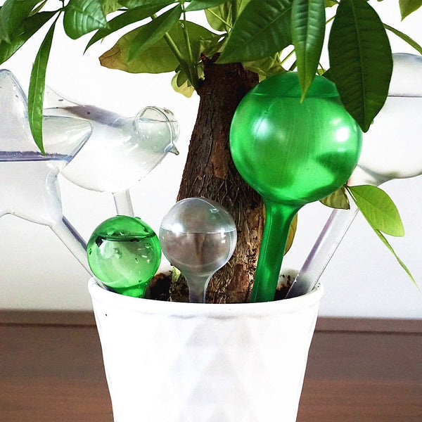 Ballons d'arrosage automatique Outils de jardinage 