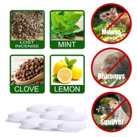 Pack de 20 repulsifs souris et rats Outils De Jardinage 
