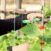 Plant'Attache | L'Outil de Jardinage Révolutionnaire pour Vos Plantes - outils de jardinage - Outils de Jardinage - 